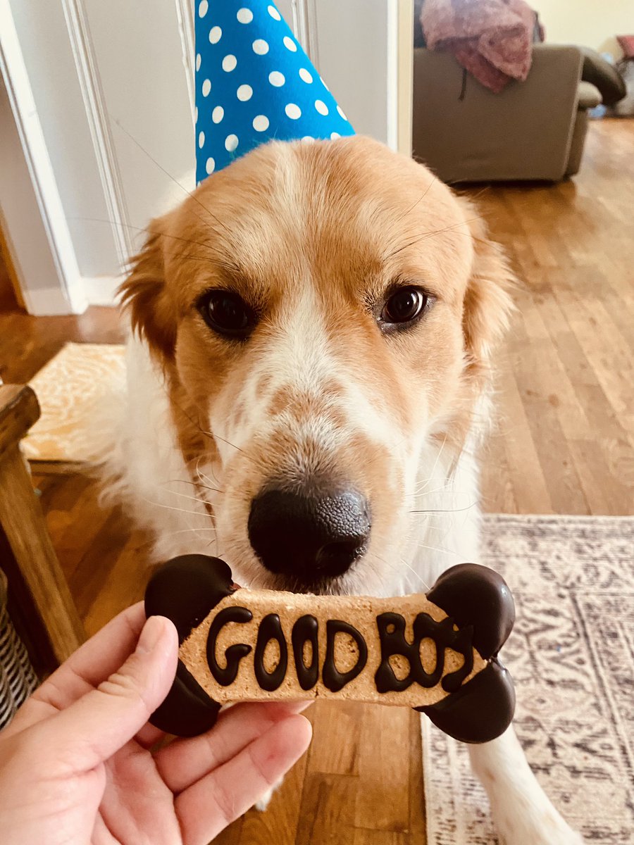 CrissaAndJordan's tweet photo. Hey guys, it’s rizzos birthday, he is three today 😌🥳 https://t.co/zyhoSQMBWX