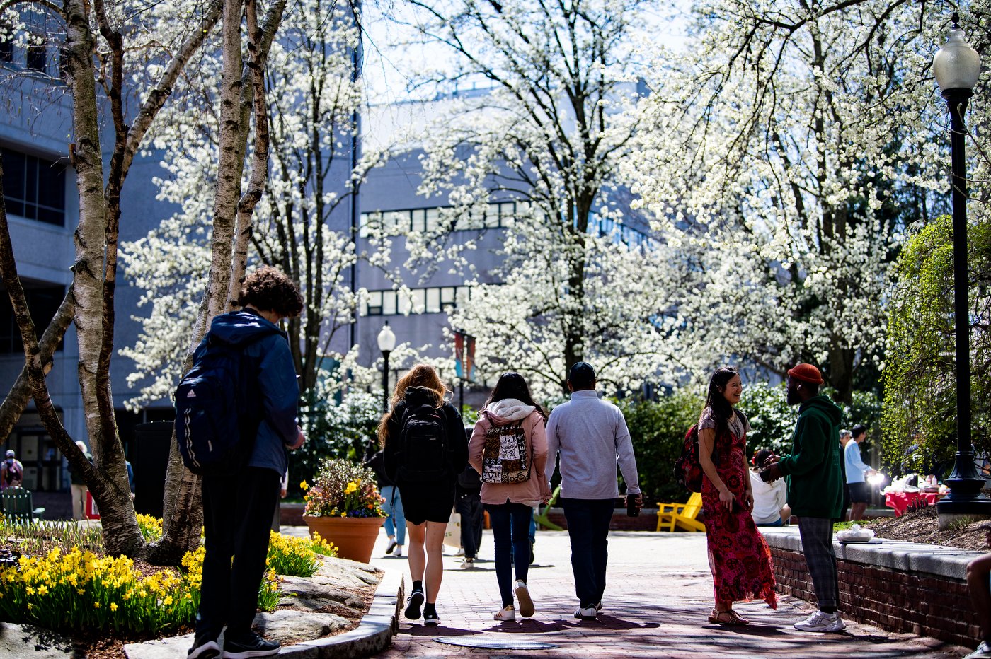 Northeastern U. on Twitter "A spring scene at Northeastern. https//t
