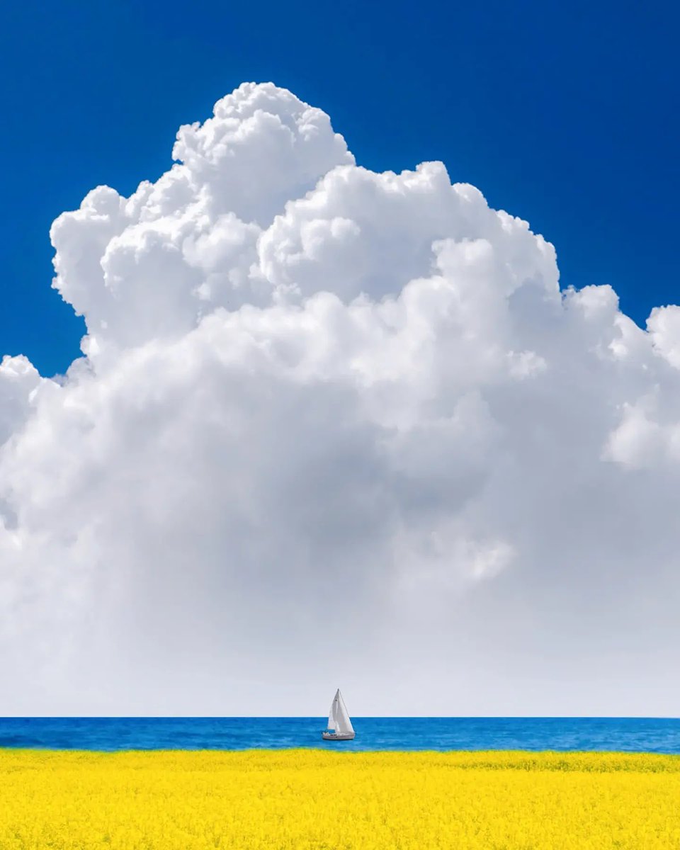 reminder: there should be no racist people in my life