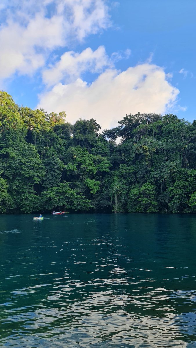 teejayhrc's tweet photo. Blue Lagoon, Portland Jamaica 🇯🇲 https://t.co/ru2upKVgJD