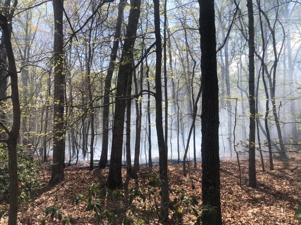 Forest Vol Fire Dept tweet media