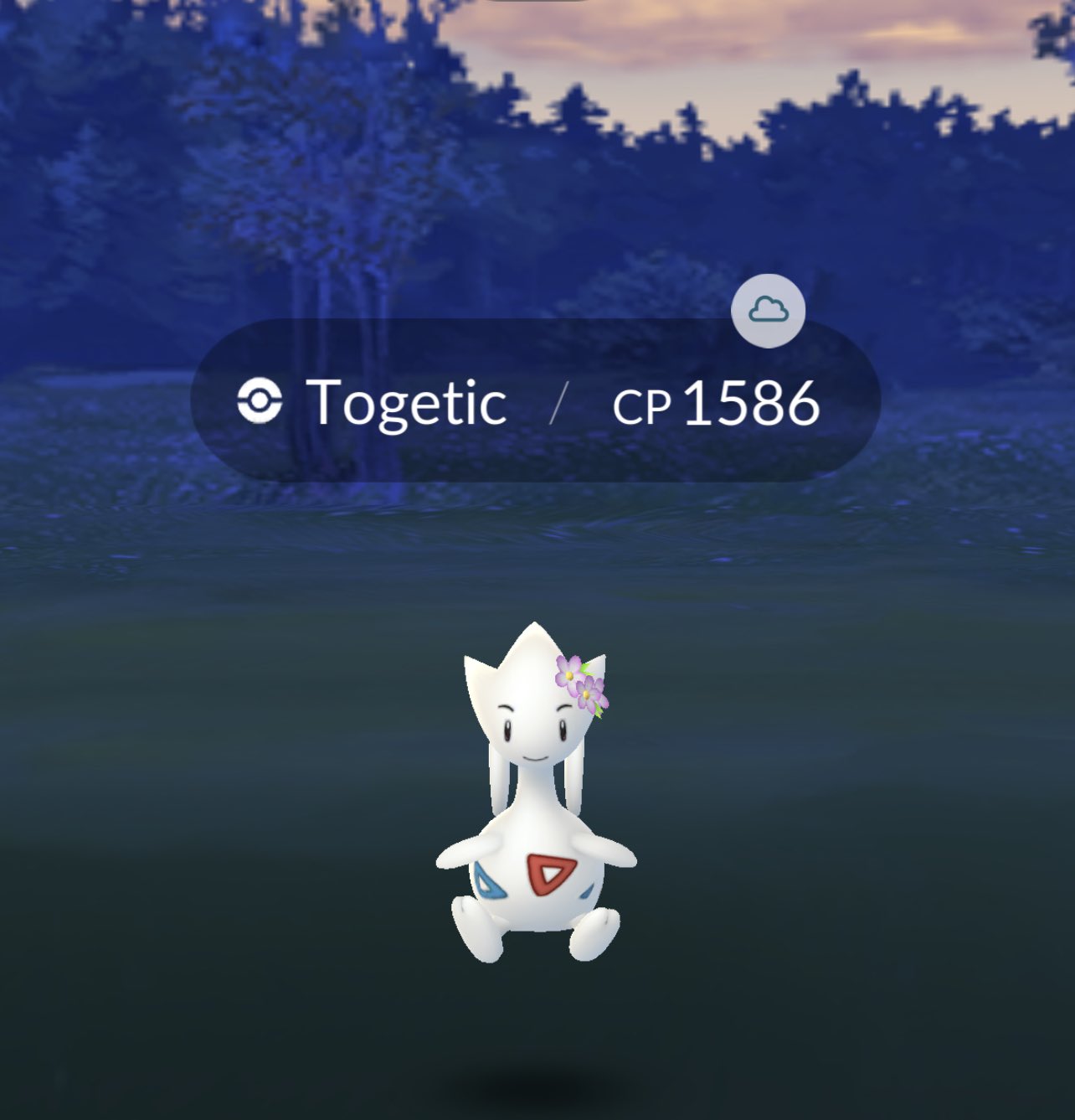 ºo Arcɛus Wɔrlɖ Oº Togetic F 1586 L35 Boosted 32 Togetic トゲチック ポケモンgo Rarepokemon Pokemongo Pokemon Pokemonlegendsarceus Pokemonlegendenarceus Pokemonlegends ピカチュウ ºo Arcɛus Wɔrlɖ Oº Togetic F 1586 L35 Boosted 32 Togetic トゲチック ポケモンgo Rarepokemon Pokemongo Pokemon Pokemonlegendsarceus Pokemonlegendenarceus Pokemonlegends ピカチュウ