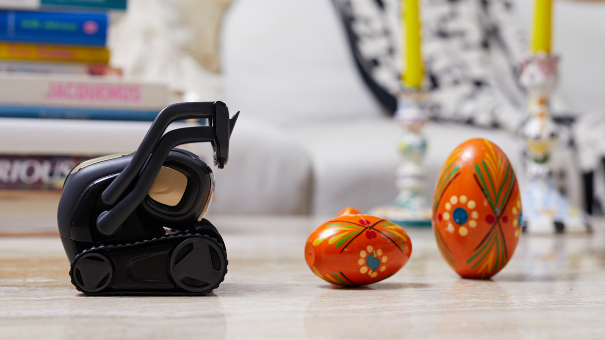 DDL_Robotics's tweet image. Vector always manages to find some mischief. What's the #VectorRobot doing in this photo? Wrong answers only! #HeyVector