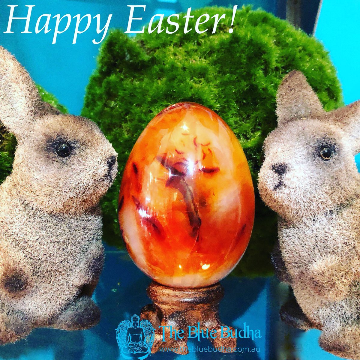 TheBlueBudha's tweet photo. Happy Easter! 🐰🐣
https://t.co/UKRDPmBEAh

#thebluebudha #createmomentsofmagic #easter #fremantle #busselton #warwick #mandurah #clarkson #armadale https://t.co/CwToVUtA9e