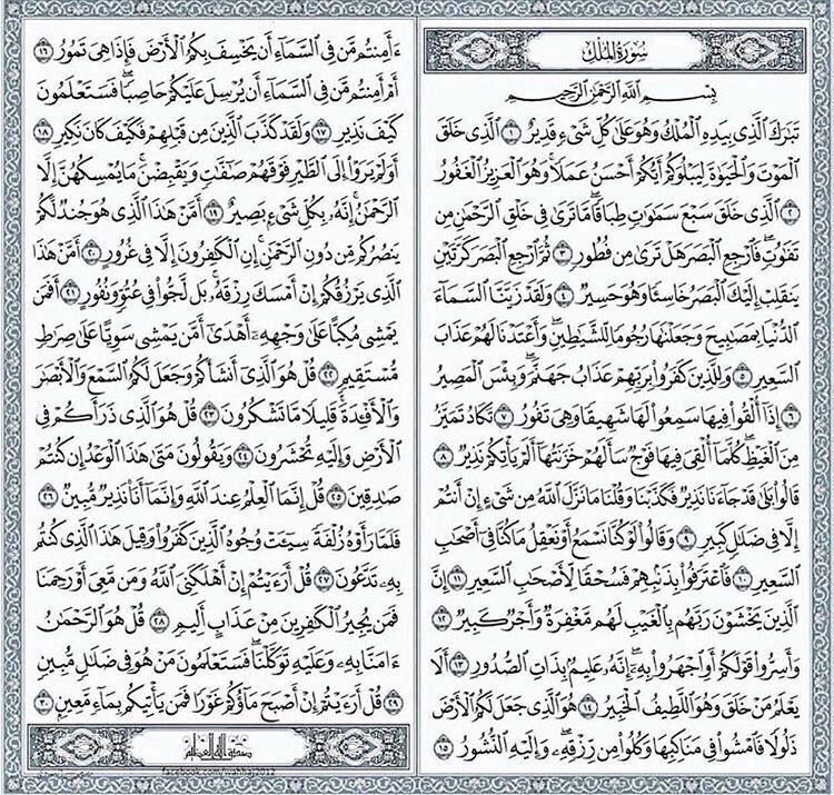adadhh18's tweet photo. قراءة سورة الملك قبل النوم 💛🌿.  
 #قعيد_المجد
#الرياض_الان https://t.co/nC0GMber8y