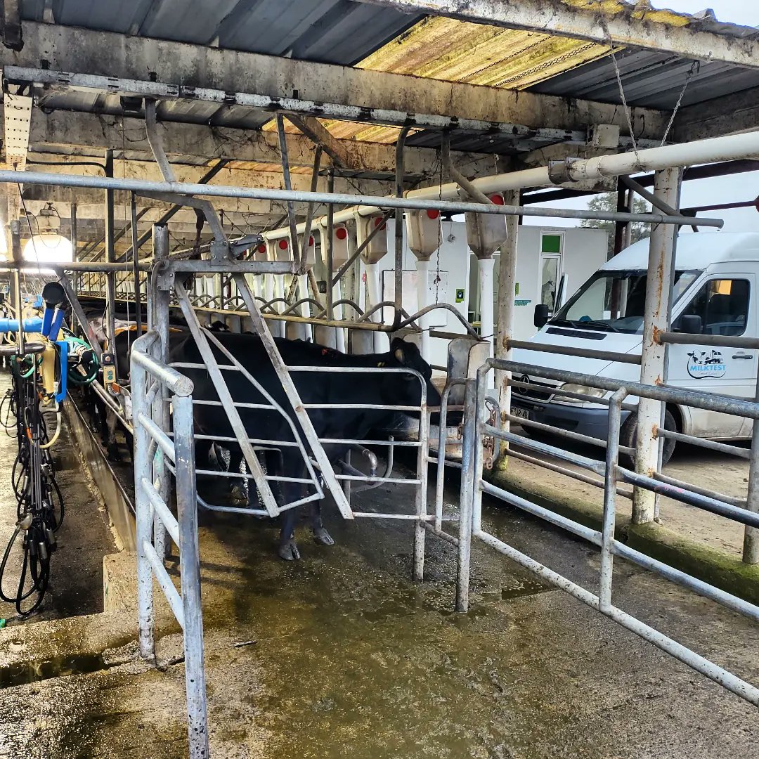 Milktest8's tweet photo. Control lechero 🐄👨‍⚕️🔬✅📑 https://t.co/QkL0qMcZSE