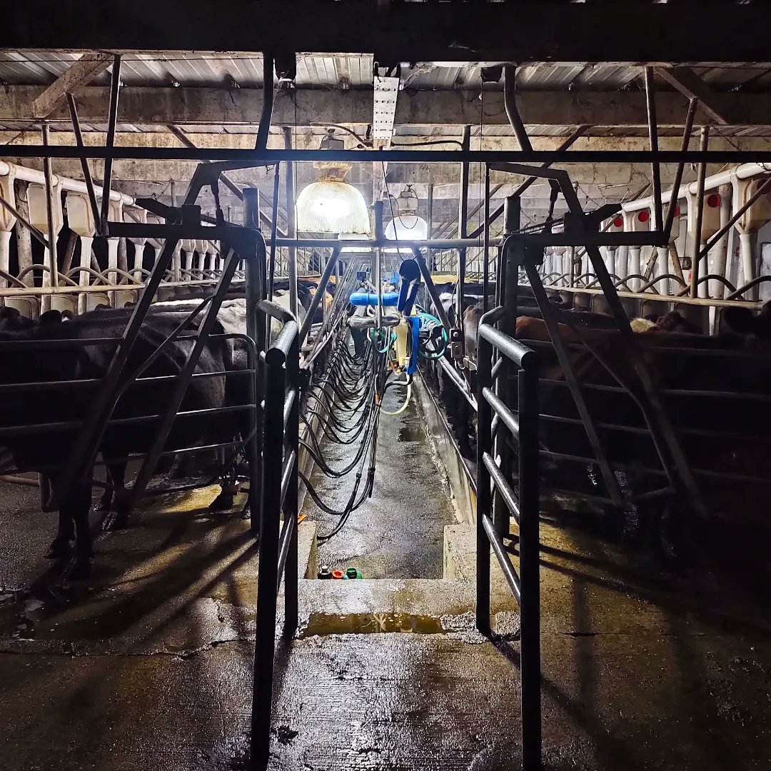 Milktest8's tweet photo. Control lechero 🐄👨‍⚕️🔬✅📑 https://t.co/QkL0qMcZSE