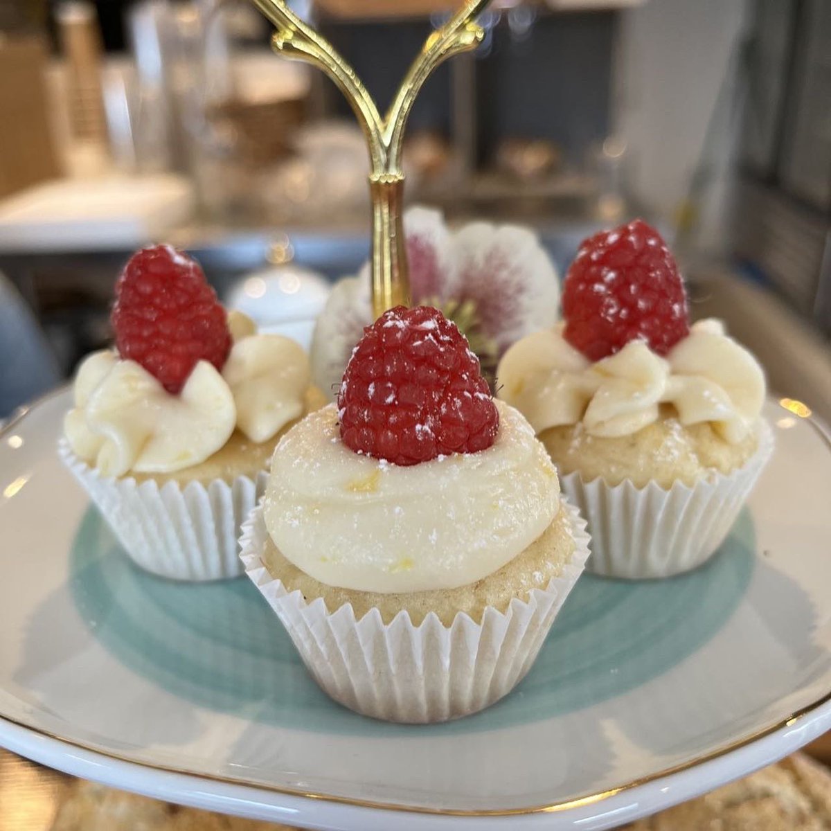 Erik Modahl tweet media