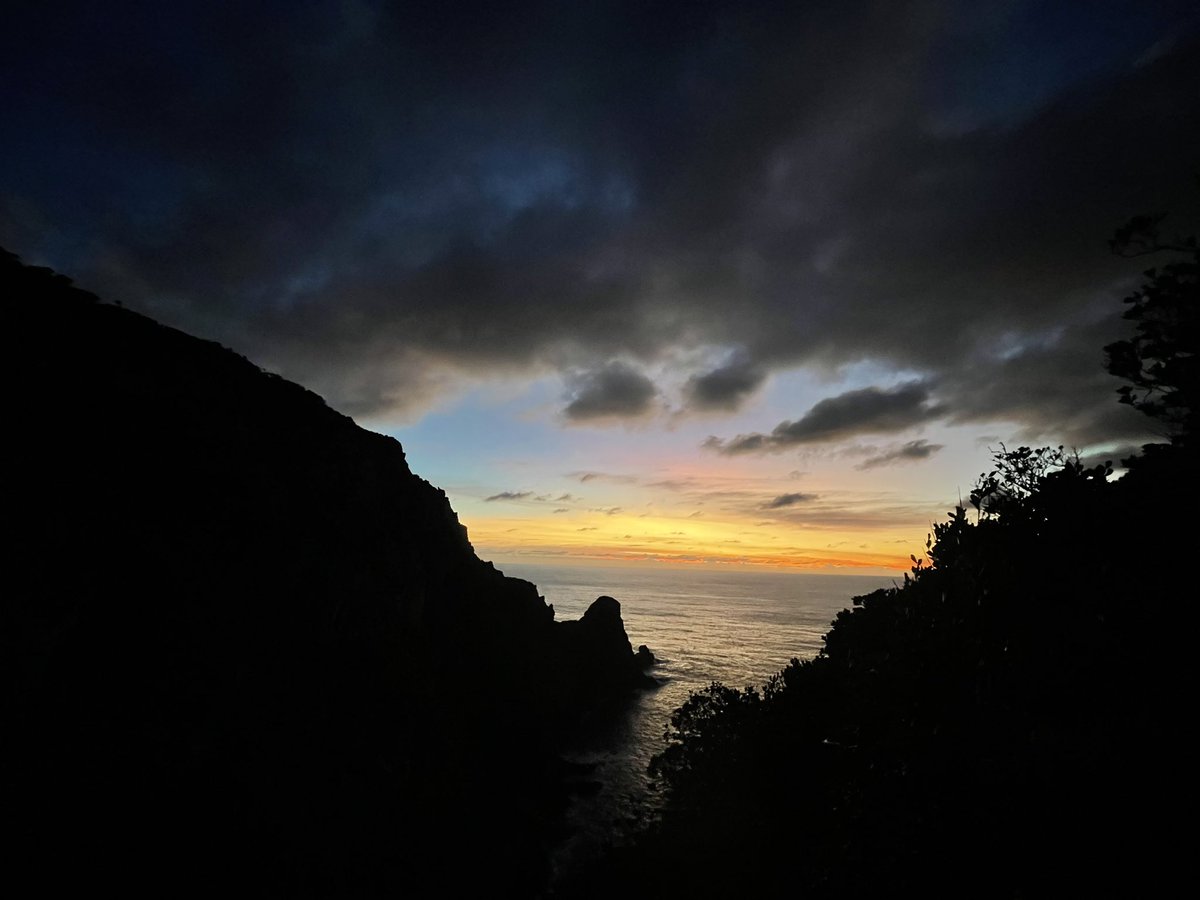 The perks to staying up all night waiting for shearwaters… #fieldbiology