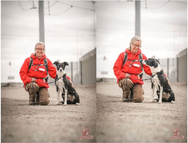 After 25+ years, yesterday was my last day at <a href="/McKinsey_MGI/">McKinsey Global Institute</a>. I am enormously grateful for it all, especially all of you I met and collaborated with!

What’s next? More time outdoors as a volunteer search and rescue K9 handler with my partner Luna. Time will tell if/what else.