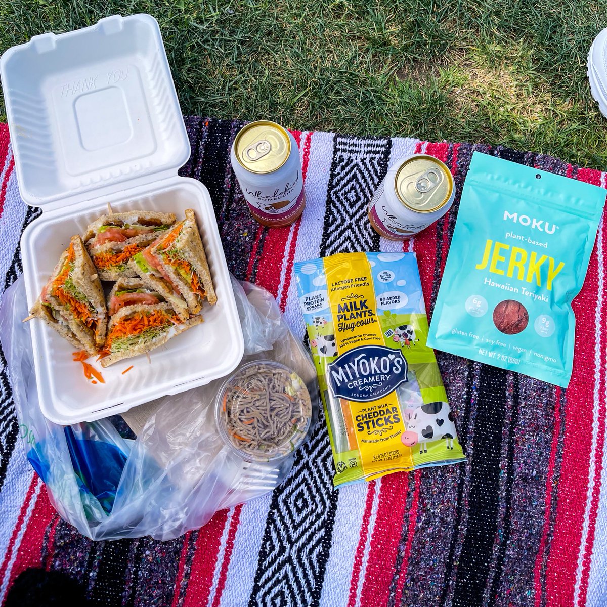 Plant based picnic 🌱🤍