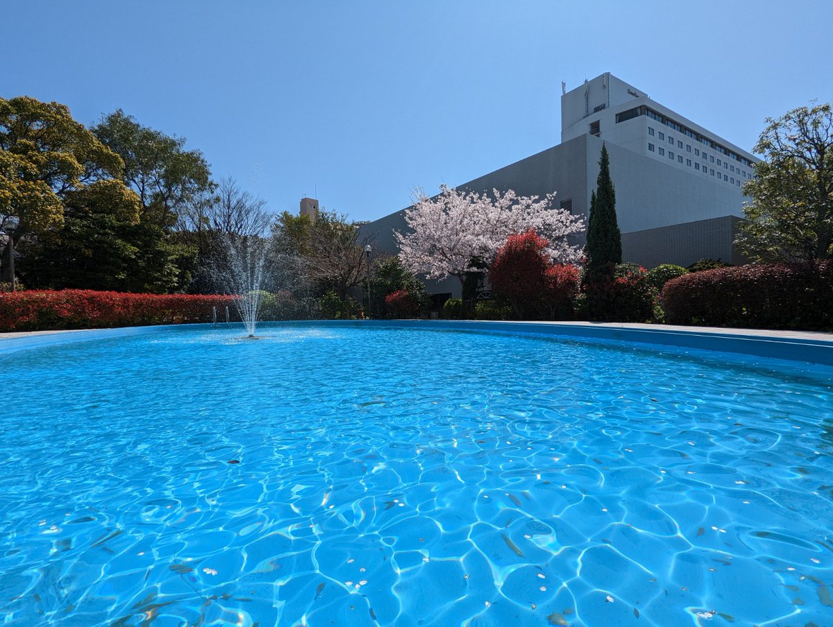 yahatastudio's tweet photo. 八幡撮影所の毎日撮影イベント、再開致します！
先ずは���月末まで。７月８月は貸切予約が増えているので是非早めにご利用をお願い致します。
イベント詳細は…https://t.co/Fh2xUEZdur https://t.co/vzjSyt9lVE
