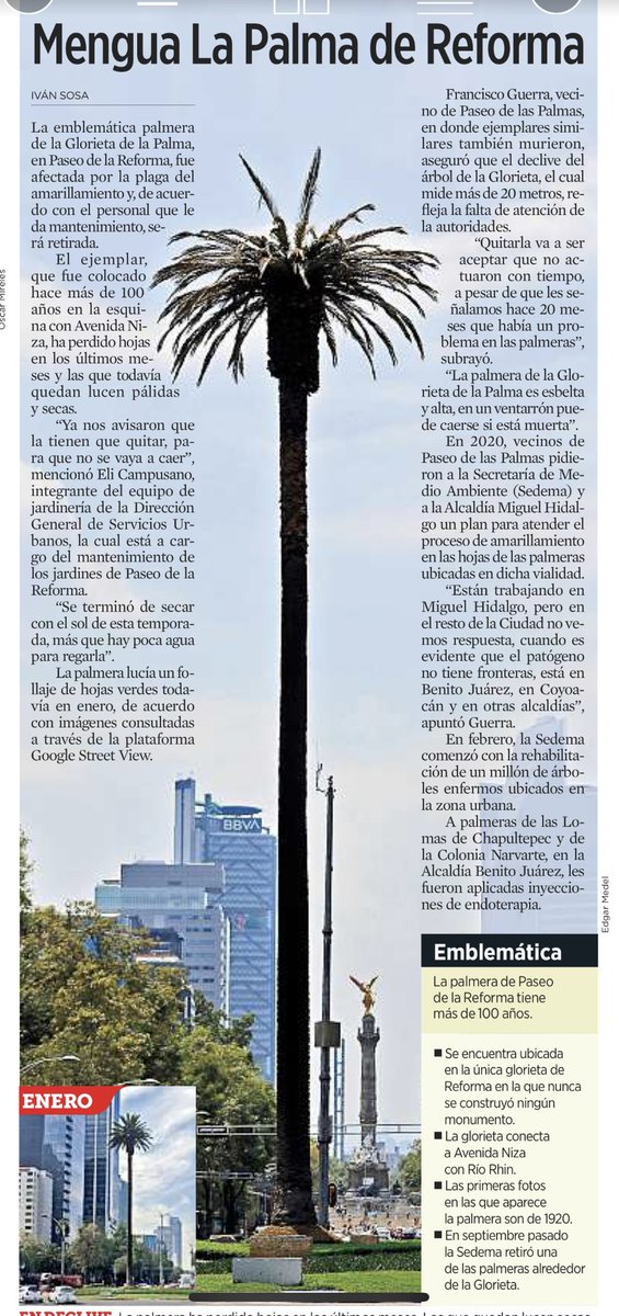 😞😞😞 #paseodelareforma #LaPalma #CDMX #salvenalapalma
