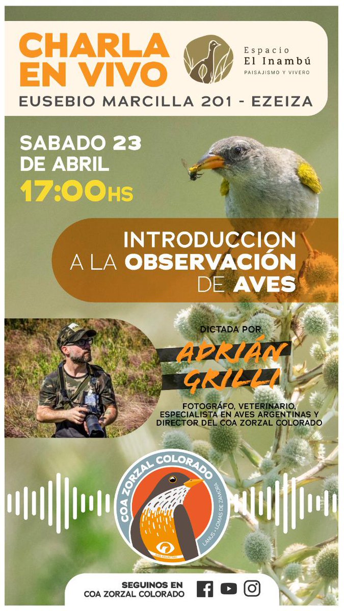 COAZorzal's tweet photo. Buiiinas

Este sábado a las 17 vamos a dar (en realidad Adrián) una charla en el Espacio El Inambú.
Charla que titulamos ✨ introducción a la observación de aves✨

Y venganse un cacho antes pa ver las plantitas. Hay nativas para el jardín, el balcón y para el vecino de al lado. https://t.co/TKF080Epeu