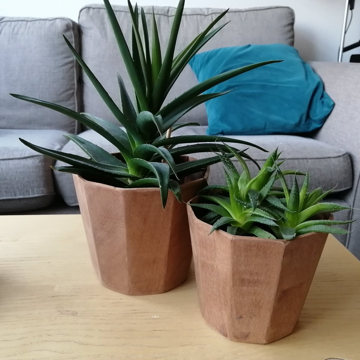 tom_howe's tweet photo. Built my first thing at @hacmanchester - plant pots using scrap wood on the table saw. Fiddly maths to calculate the angles, but once set up it's a breeze to cut many identical wedges. Thanks to the space for teaching me how to use the saw safely! https://t.co/9auSBgWoNN