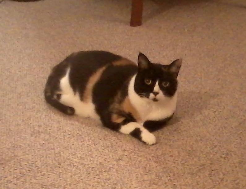 Yuan chuang (@yuanchuang14) on Twitter photo 