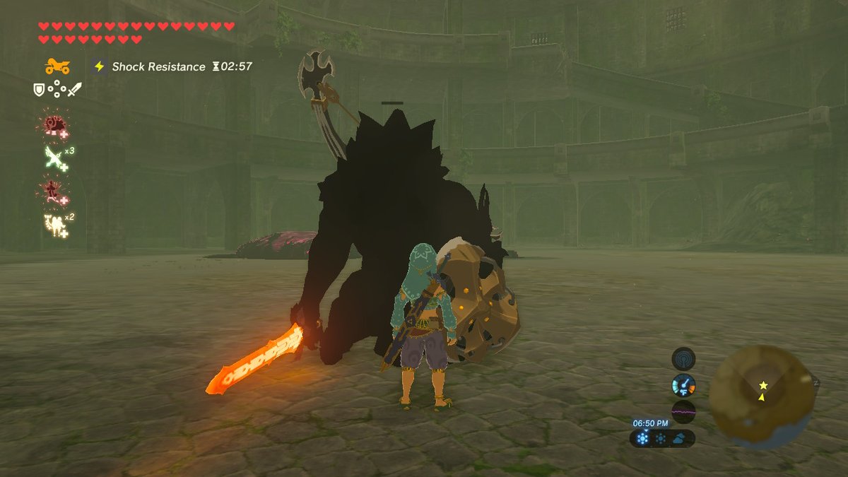 #BreathoftheWild #NintendoSwitch