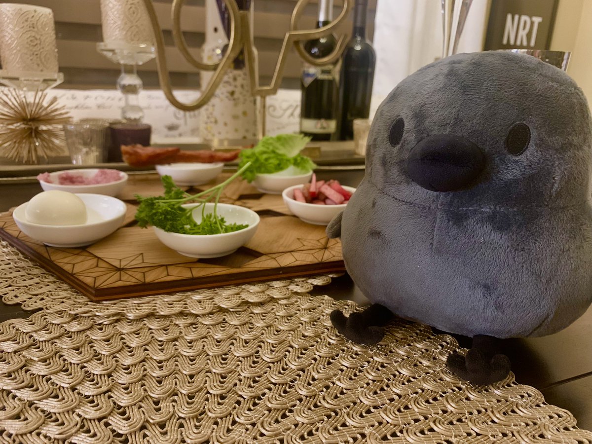 arizonaicedtea6's tweet photo. Doodle’s first Seder!! #pcrowplush https://t.co/4etjdo3L9R
