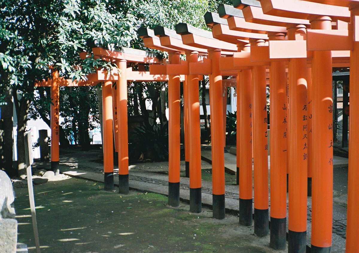 filmphotography