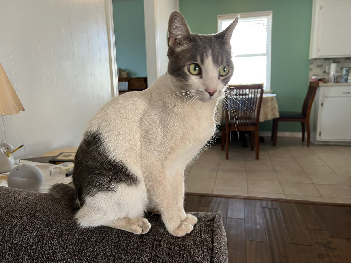 #谢阳律师 自2022年1月11日被捕已经95天

日子过得太快，因为生活中有太多的美好来填充；而失去自由的谢阳却在狭窄的监室里渴望自由。
明天复活节，主耶稣受难三日后复活，他来，是为洗去我们的罪，为让我们得到真正的自由。从此因信称义，得祝福。愿圣灵与谢阳同在，与敬畏神的我们同在。