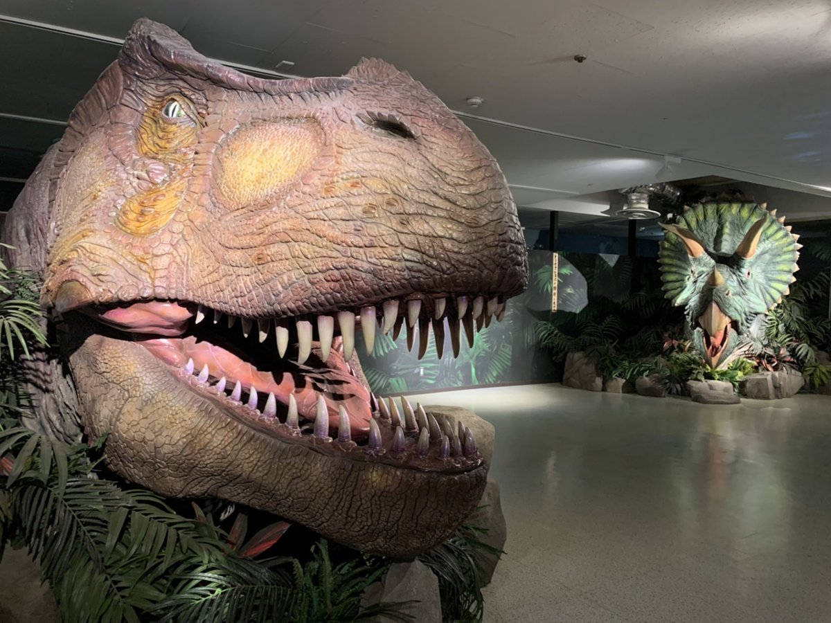 KHL_PR's tweet image. 🦖今日は恐竜の日🦕
初めて恐竜の卵の化石を発見した、アメリカの古生物学者のロイ・チャップマン・アンドリュースが、北京からゴビ砂漠へ発掘調査に出発した日です。
彼はかつてゴビ砂漠が植物で生い茂った平野であり、大きな湖があったことを証明し、その後の本格的な恐竜研究の始まりとなったとか！