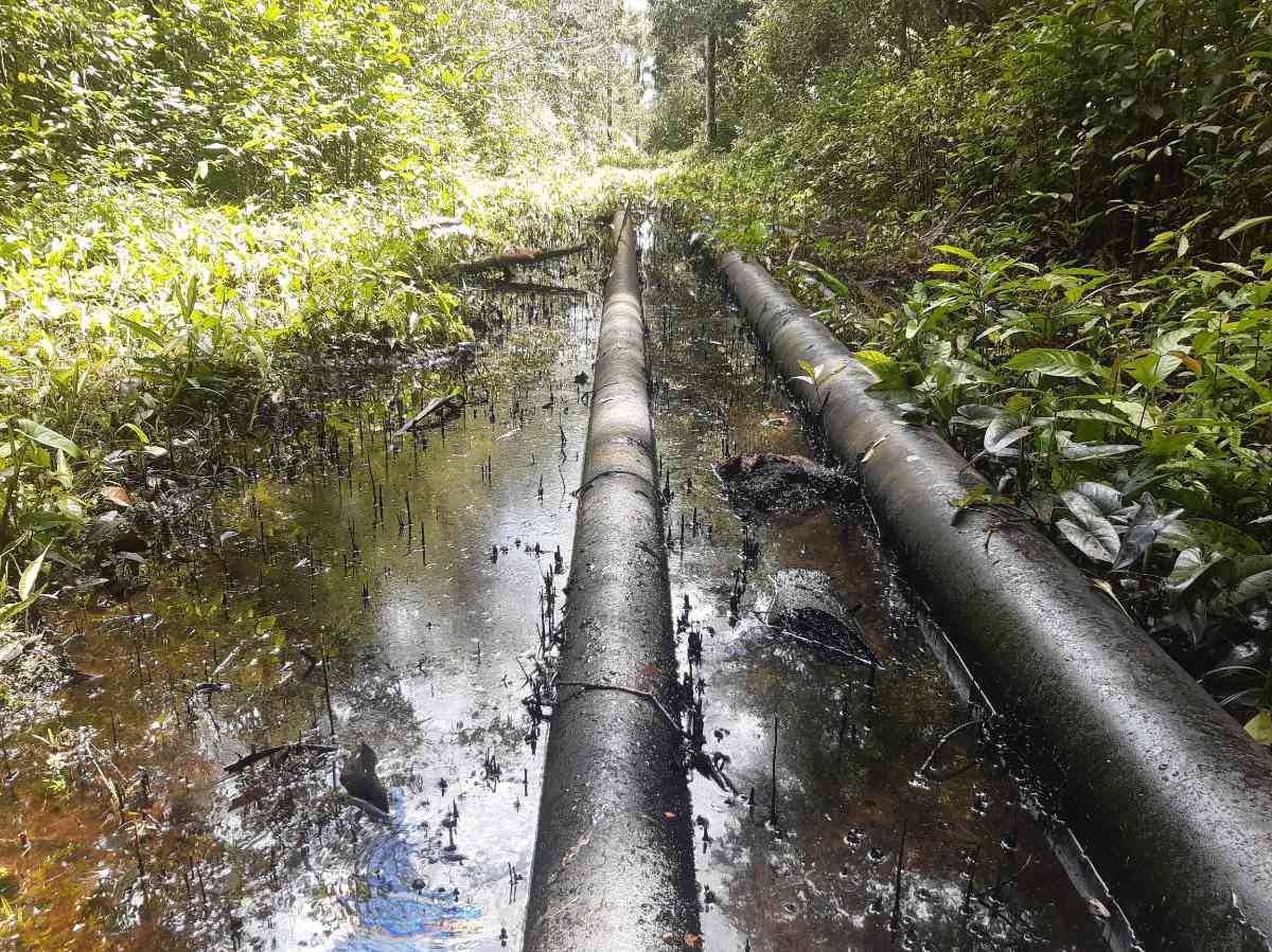 4cuencas's tweet photo. 🚨 #ATENCIÓN Monitores ambientales de la comunidad kichwa Doce de Octubre reportan otro derrame de petróleo alrededor de la batería San Jacinto en el #Lote192. La federación #OPIKAFPE demanda atención inmediata de la emergencia a @Perupetrosa y el @OEFAperu 🚨 https://t.co/Y2FZ0RyNva