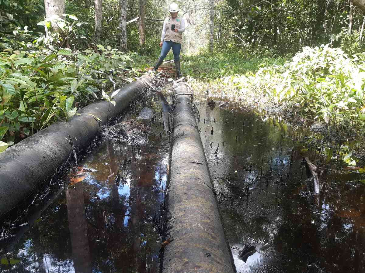 4cuencas's tweet photo. 🚨 #ATENCIÓN Monitores ambientales de la comunidad kichwa Doce de Octubre reportan otro derrame de petróleo alrededor de la batería San Jacinto en el #Lote192. La federación #OPIKAFPE demanda atención inmediata de la emergencia a @Perupetrosa y el @OEFAperu 🚨 https://t.co/Y2FZ0RyNva