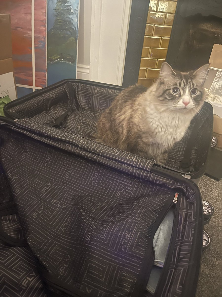 Nihachu's tweet photo. I finished packing my suitcase for America! https://t.co/m4aW9UdwnJ
