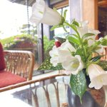 ツイートに含まれる画像