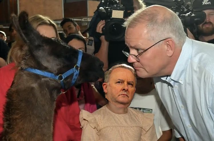 . <a href="/AlboMP/">Anthony Albanese</a> is a little confused what <a href="/ScottMorrisonMP/">Not ScoMo</a> is doing during the debate.
#ausvotes #auspol