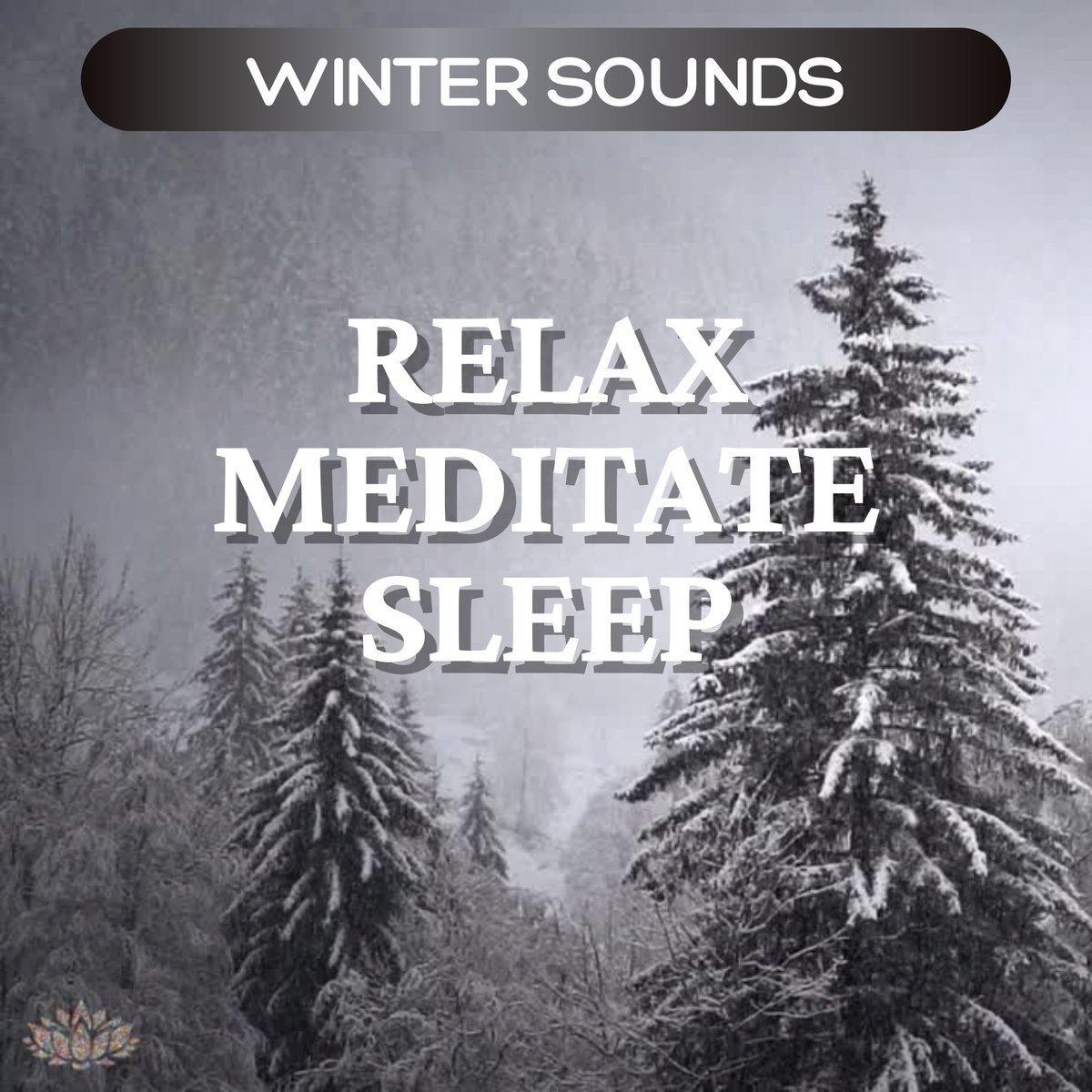 InnerPeaceThpy's tweet image. SNOW STORM Sounds for Relaxation, Meditation &amp;amp; Sleep 💕

Check out latest video release
👇👇👇    
youtube.com/watch?v=TGKPDy…

#innerpeacesoundtherapy #innerpeacetherapy #innerpeacesoundthpy #binauralsounds #snowfall #snow #soundtherapy #relaxation #meditation #relax #nature #winter