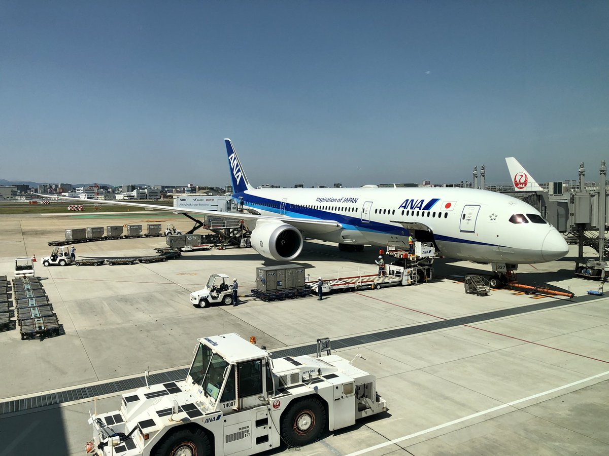 iso_pyon's tweet photo. 待望の B787-9 GEエンジン
かっこいい!
YUさんのYouTubeで予習ました
楽しんできます
@airplane_holic
#ANA #JA937A #NH248
#B787_9 #GE https://t.co/VqVc93AQt0
