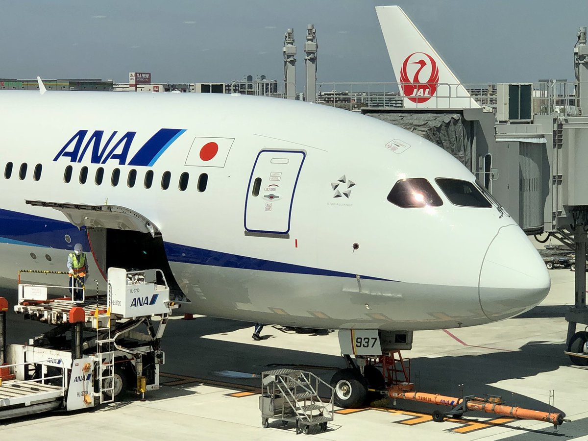 iso_pyon's tweet photo. 待望の B787-9 GEエンジン
かっこいい!
YUさんのYouTubeで予習ました
楽しんできます
@airplane_holic
#ANA #JA937A #NH248
#B787_9 #GE https://t.co/VqVc93AQt0