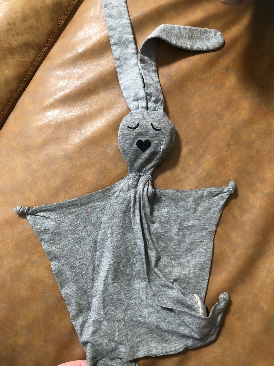 staceyccarter's tweet photo. It’s a long shot - but we’re looking for two bunnies that look like this, left on #AmericanAirlines flight #AA1331 today.  Our sad little one has had them since she was a newborn and misses them dearly #lostbunnies https://t.co/SvHwhiMGL4