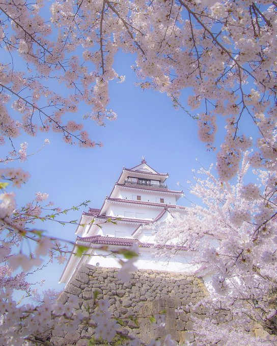 絶景のtwitterイラスト検索結果