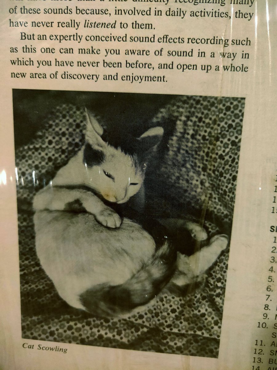 onkeljohn's tweet photo. Tangkapan hari ini https://t.co/VfJaWQbHzC