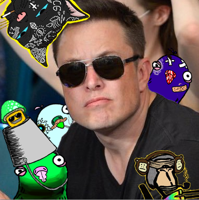 StoopidPigeon's tweet photo. @elonmusk 
Pigeoned 💩+ @0xLFGx0+@shroomojis+@0xapemfer

Find out more about -
@StoopidPigeon

HERE🚨  https://t.co/VuAeK1ccOS 🚨

Find out more about -
@0xLFGx0

#stoopidpigeon #NewProfilePic #NewNFTProfilePic #Birdinvasion #pigeonbombed #pookkake https://t.co/aIfg2ZKhHZ