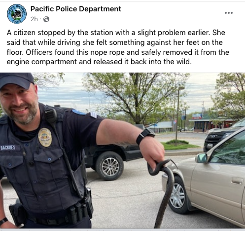 ScannerNewsSTL's tweet photo. The Pacific PD reports today (4-16-22) a motorist stopped by the station saying she felt something against her feet on the floor.  Officers checked the vehicle and found a snake in the engine compartment, removed it, and released it into the wild.
https://t.co/0dCVytgSN0 https://t.co/8uVqiojfMd