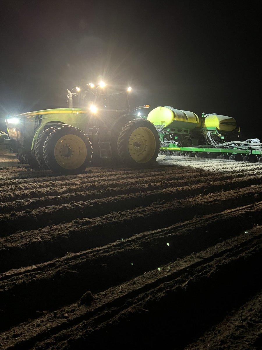 Todd Boyd tweet media