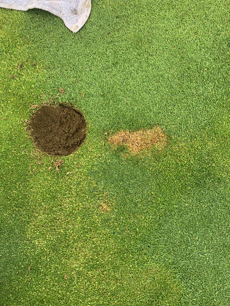 All the years I have been in turfgrass management the divot out of the green next to the cup still boggles my mind. We just aerated the greens 8 days ago… We are recovering great! Please be patient with spring golf course maintenance…🤷🏼‍♂️ #GolfCourseMaintenance