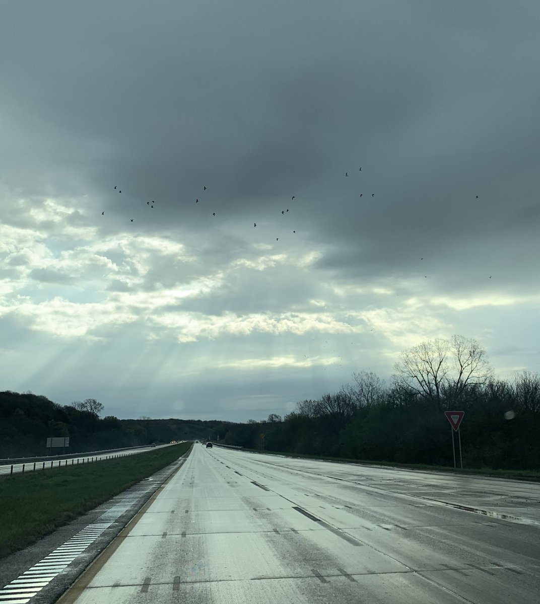 MadisonYellow's tweet image. the sun trying to break after the rain &amp;amp; my teddy bear twin &amp;lt;3 lovely day