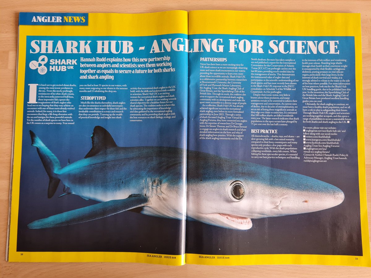 BD_Stew's tweet photo. Great to see this feature on @SharkHubUK in the latest Sea Angler magazine. Thanks @hannahsrudd for making this happen 👏 #sharks #conservation #angling #fishing 🦈 https://t.co/hzq86xzfXH
