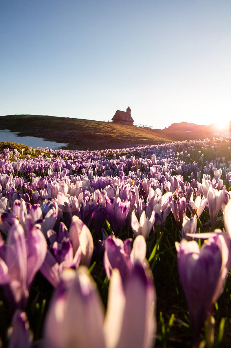 Happy Easter 🐰🐇🌸 #sunset #easter #Easter2022 #travel #nature #photography #mountain #HappyEaster
