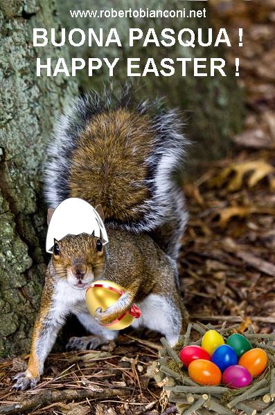 Rob_Bianconi's tweet photo. BUONA #pasqua2022 A TUTTI VOI!
Se non avete ancora visitato il mio nuovo sito sulla #fotografia #naturalistica e non avete di meglio da fare fateci un salto e fatemi sapere cosa ne pensate!
https://t.co/yc0Dx767Al https://t.co/xZ0ZICLhlG