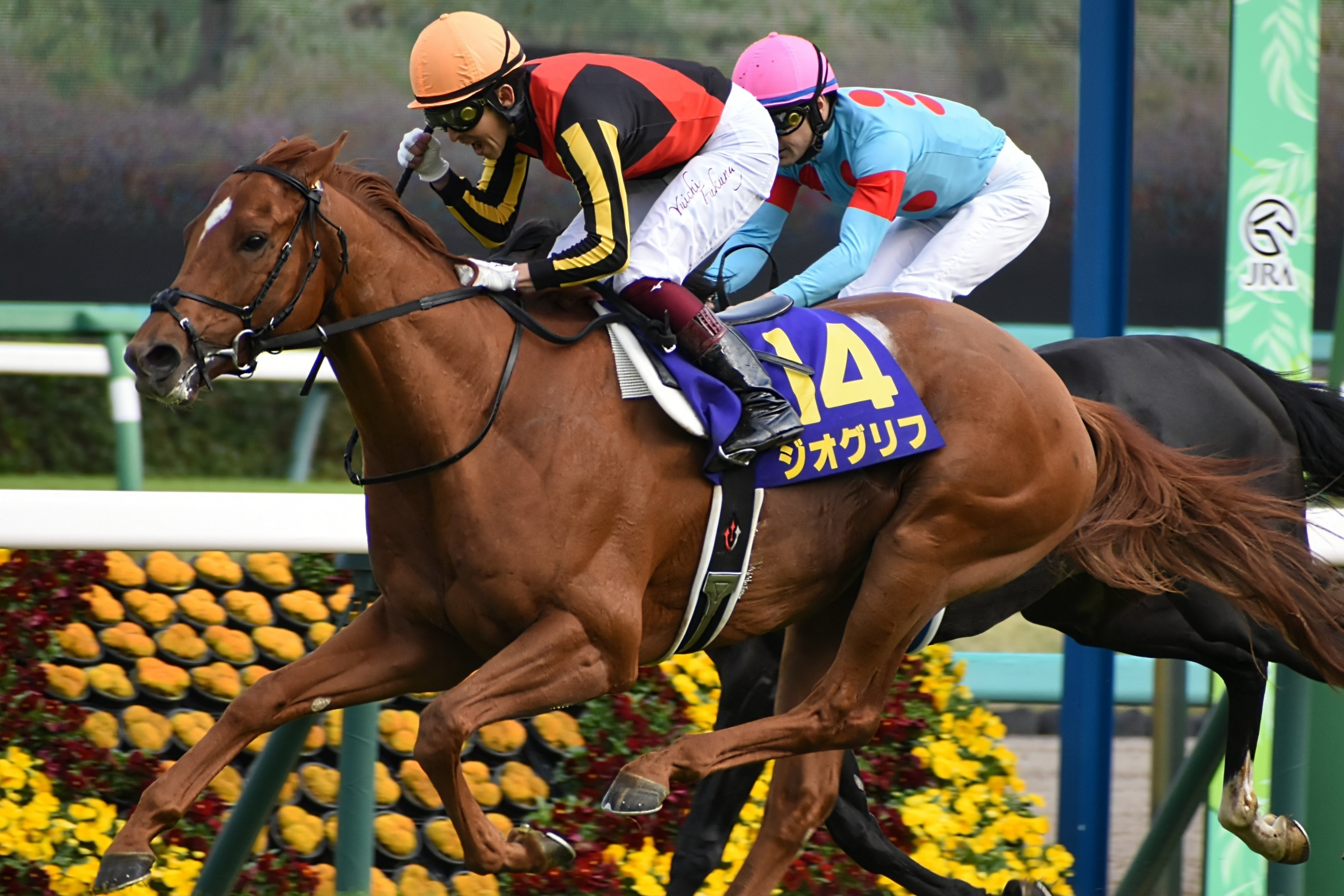 ジオグリフ アイドルホースぬいぐるみ 皐月賞 競馬 JRA