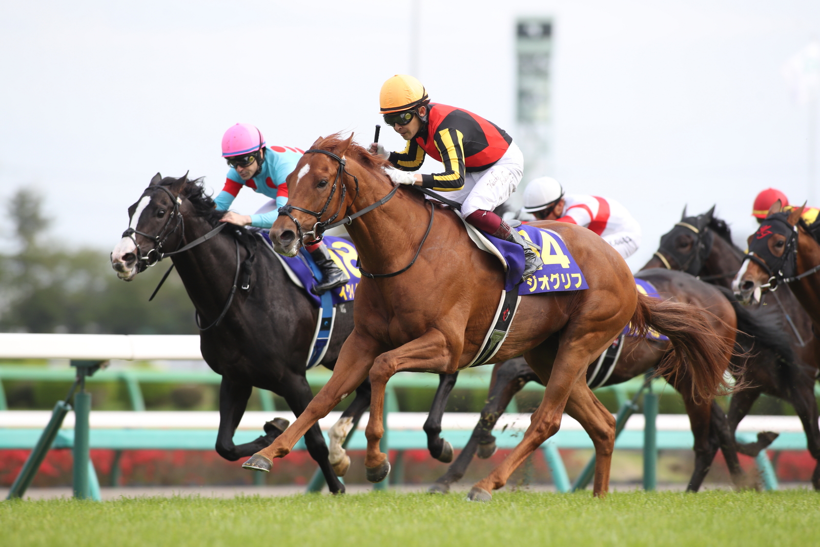 Jra Van公式 皐月賞 中山競馬場で行われた皐月賞 Gi は福永祐一騎手騎乗の5番人気ジオグリフが直線外から差し切って優勝 昨年の札幌2歳s以来となる重賞2勝目でgi初勝利を挙げました 競馬 Keiba Jravan T Co Syvzwqutqo Twitter
