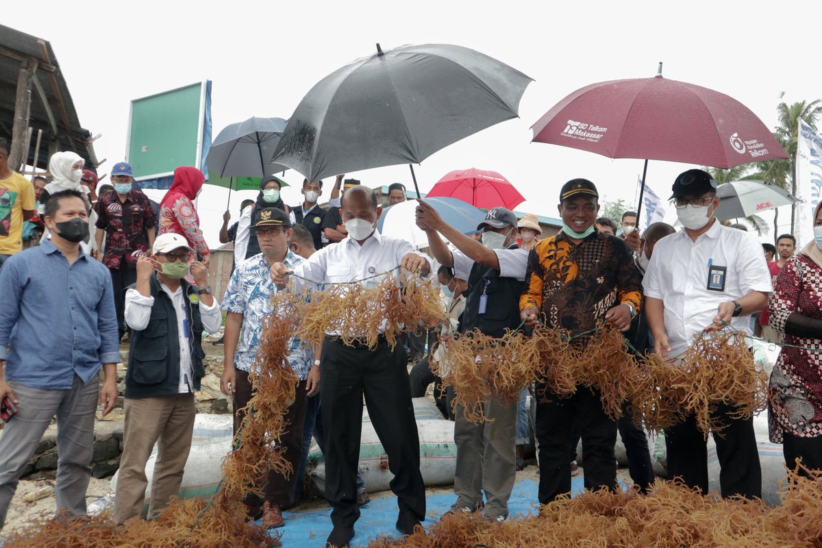 DJPB_TAKALAR tweet media