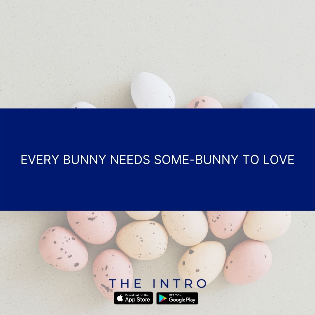 TheIntroApp's tweet image. 