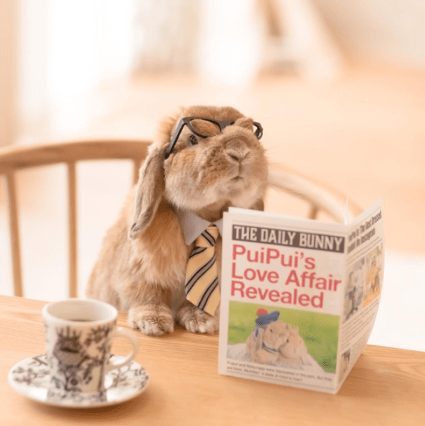 DLT Magazine Schools tweet media