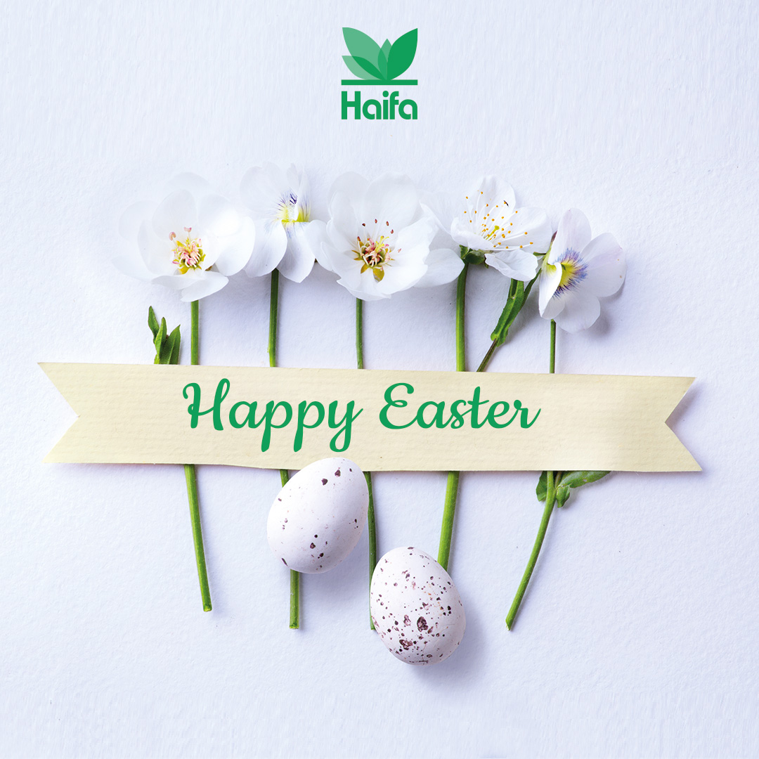 Happy Easter to all 🐰🥚
May your Easter basket be full of joy, peace &amp; love
haifa-group.com